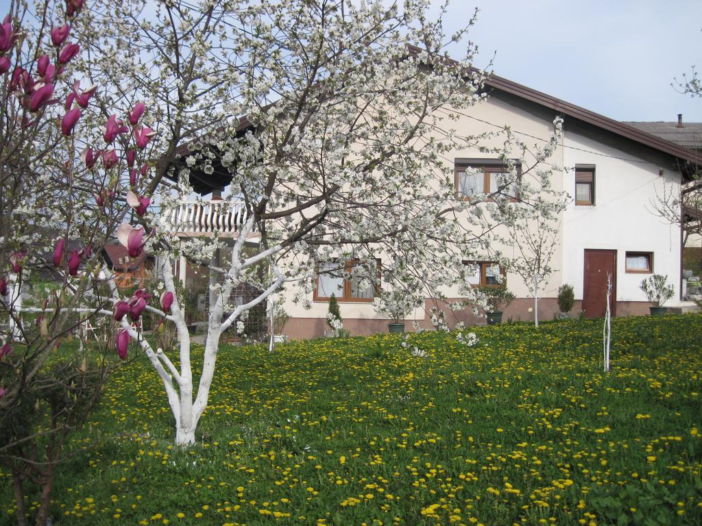 Apartment Yasica Izacic Buitenkant foto